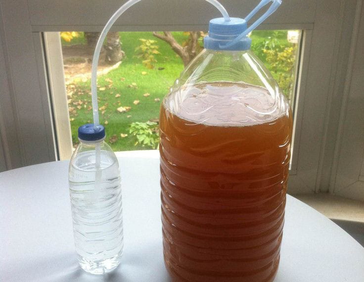 Elaboración 1
